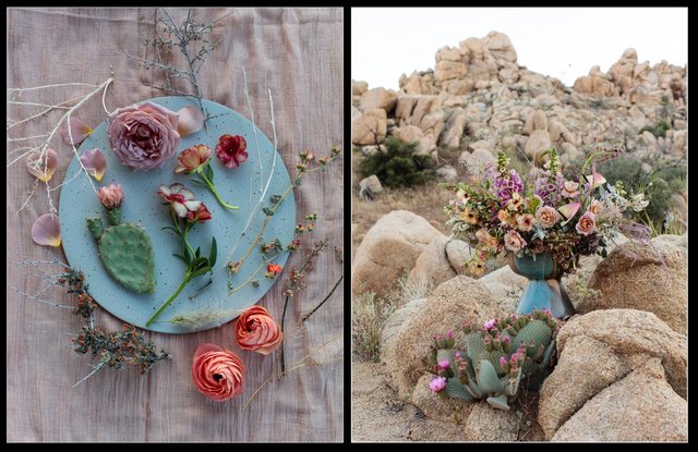 Screen Shot 2017-01-20 at 3.15.49 AM.jpg