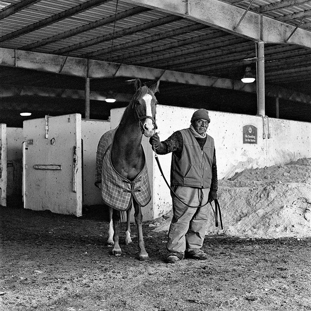 The Thoroughbred Center, Lexington, KY