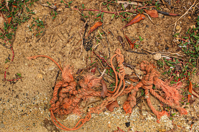 Aruba scapes_Mangrove Grounds.jpg