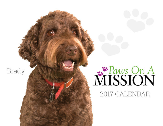 PHIL2 - Pet Therapy Calendar.jpg