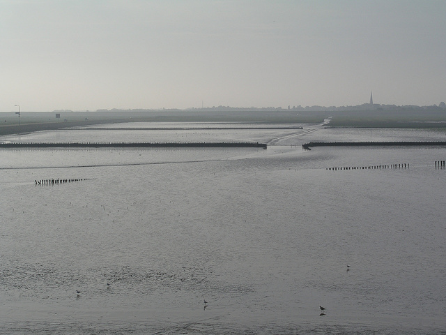 Ameland