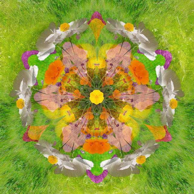 Meadow