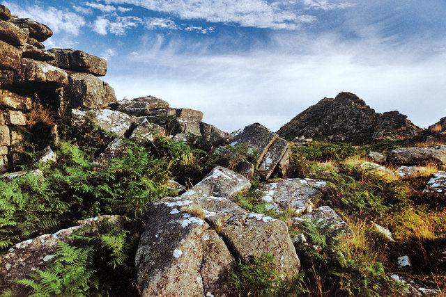Lower Leather Tor