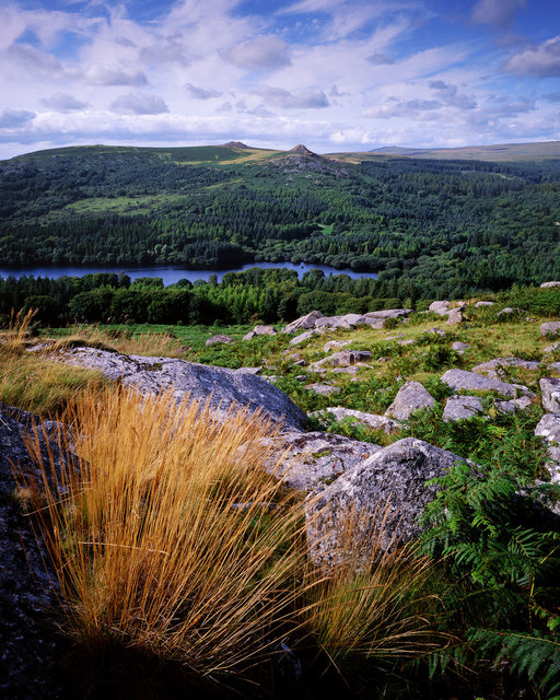 Sheepstor_View_16x12_1_copy_lustre.jpg