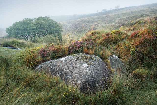 lowres_for_project_page_Black_Tor_Falls_RDD090922E2.jpg