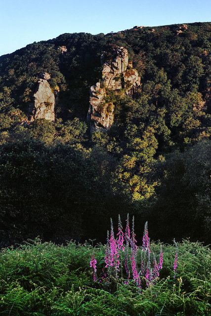 Dewerstone_RD090624A.jpg