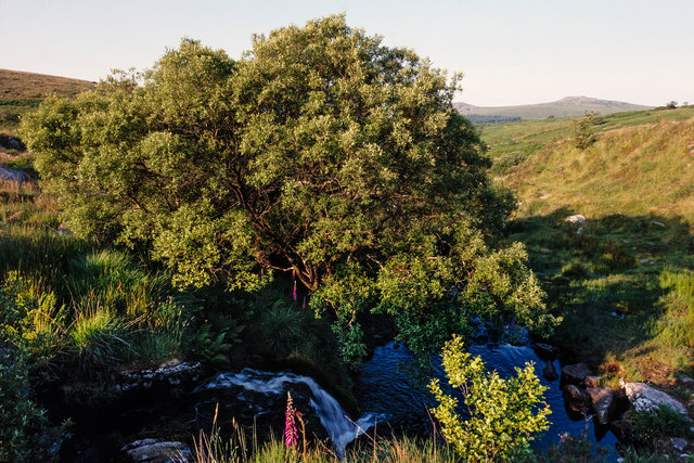 Black Tor Falls
