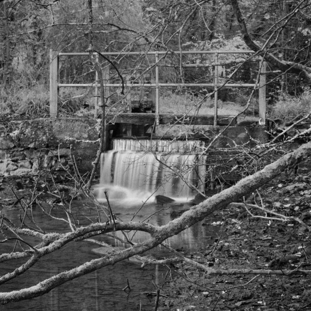 Radford_Weir_RDD231111A.jpg