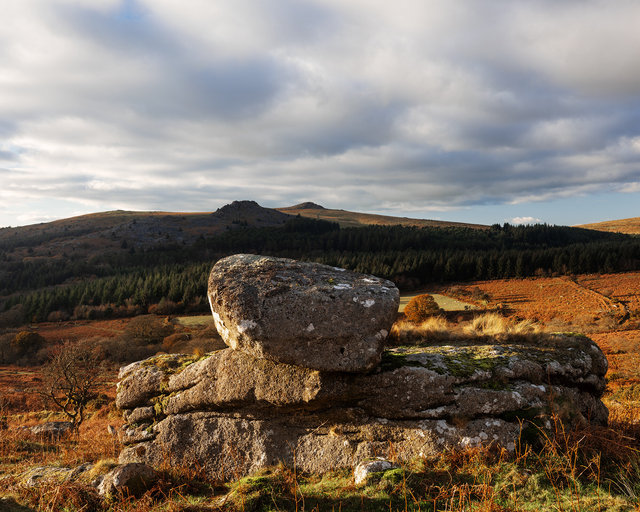 Down_Tor_RDD281123B.jpg