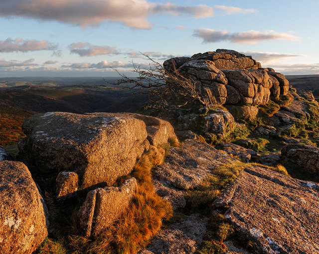 Sharp Tor