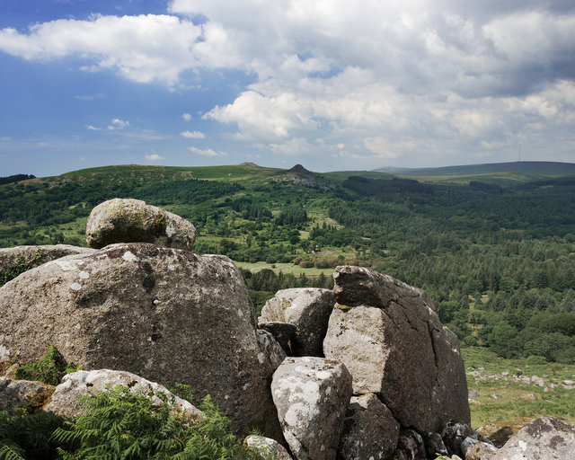 Sheeps Tor