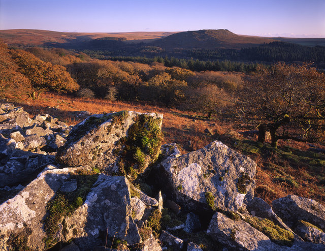 Burrator_from_below_Peek_Hill_RDD241110A202.jpg