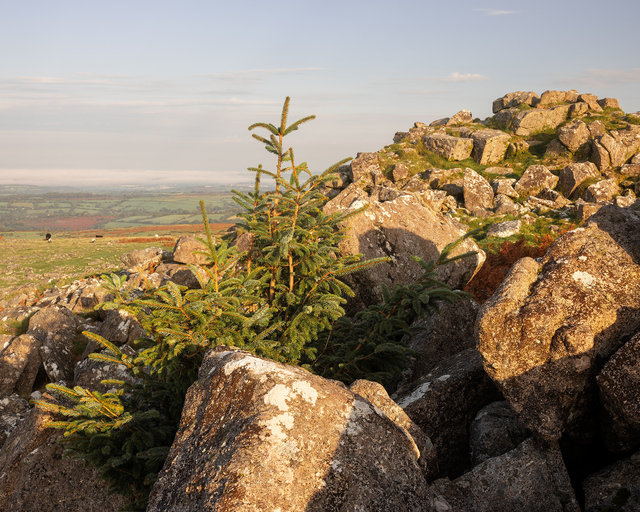 Sharpitor_RDD090923D.jpg