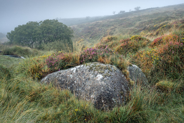 Below Black Tor