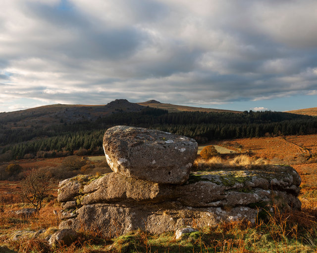Down_Tor_RDD281123B.jpg
