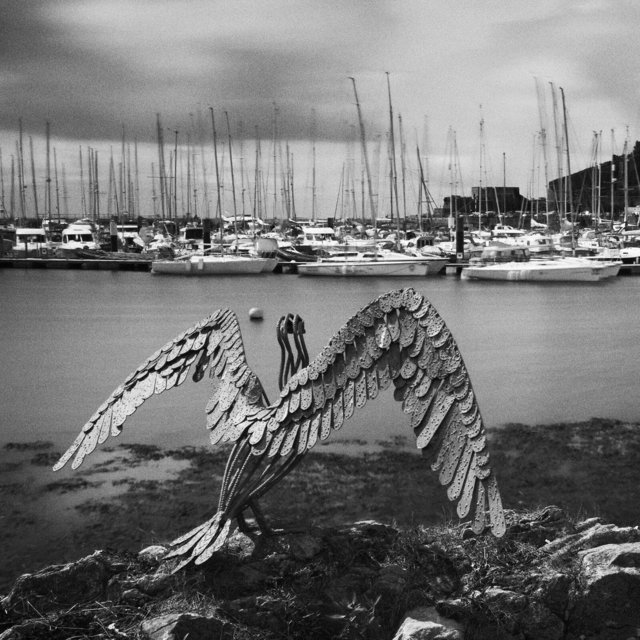 QAB_Marina_RDDG040710B.jpg