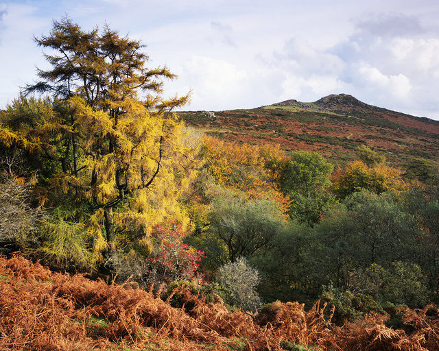 Sharp Tor