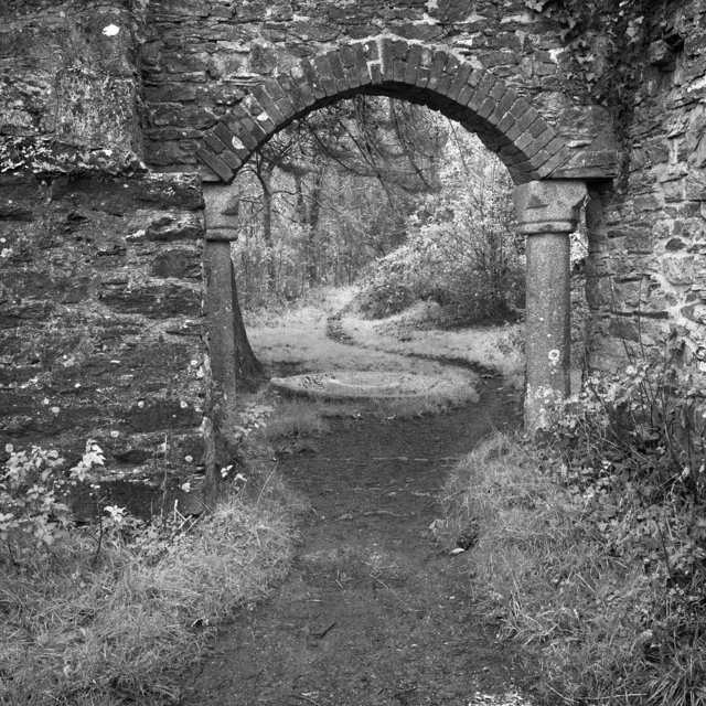 Radford_Ruins_RDD231111B.jpg
