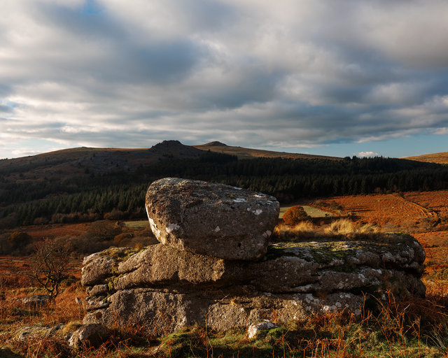 Down_Tor_RDD281123B.jpg