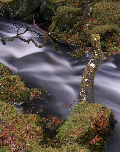 Newleycombe_Lake_RDL271010C.jpg