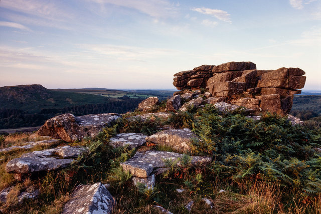 Lower Leather Tor