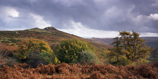 Sharp Tor