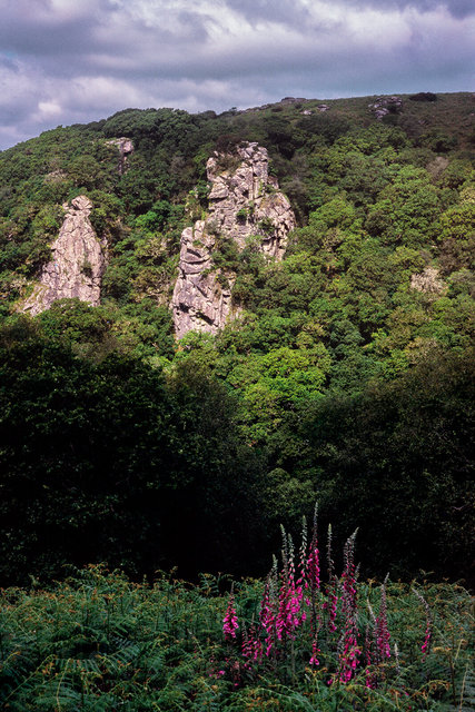 Dewerstone Rock