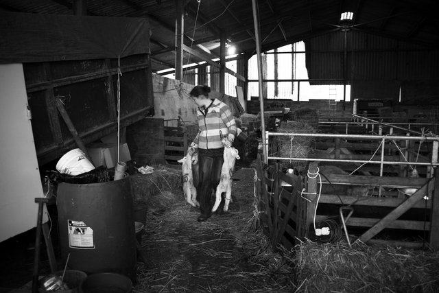 Helen Griffiths, Longridge, Hartpury, Gloucestershire