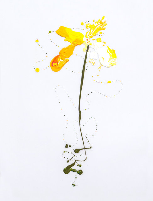 Flora XXIV