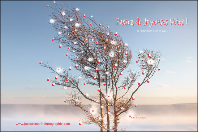 remerciements noël.jpg