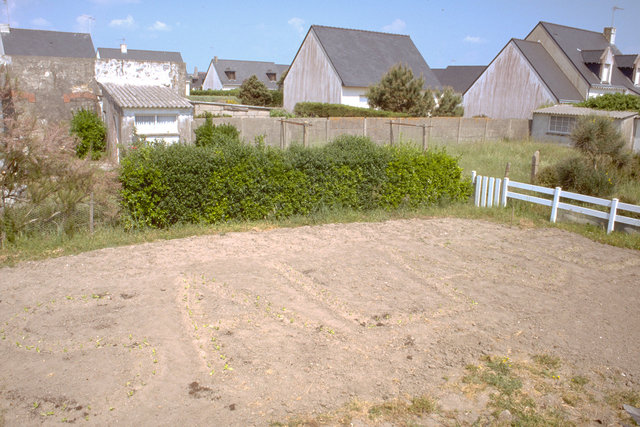 Ecritures Productives, Salad - 1995. La Turballe, France