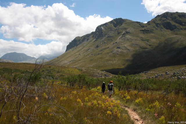 Kogelberg Nature Reserve