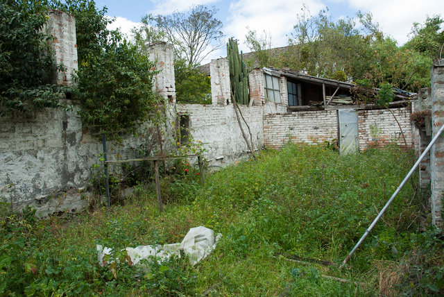 El Gallinero 2012