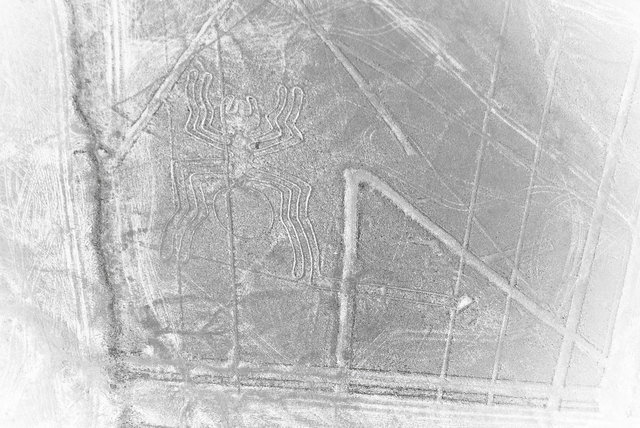 Nazca Lines 1