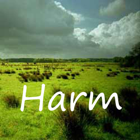 Harm