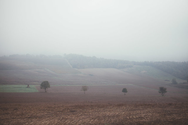 Langhe-26.jpg