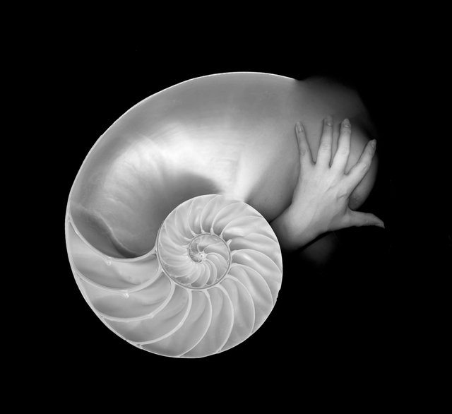 Mermaid II