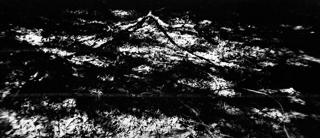 04_ORIGINE RESISTENZA_150dpi.jpg