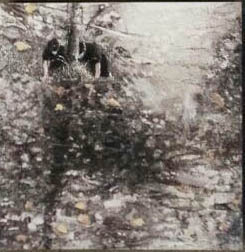 Patrick Bergsma, Untitled (Z.t.), 2014