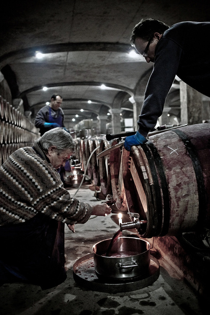 Margaux90 © Laurent Gazal.jpg