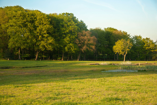 Brunninkhusbeek in avondlicht