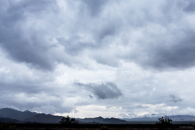 2451August 22, 2012untitled shoot.jpg