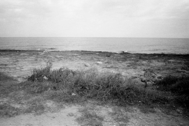 silencio Xw.jpg