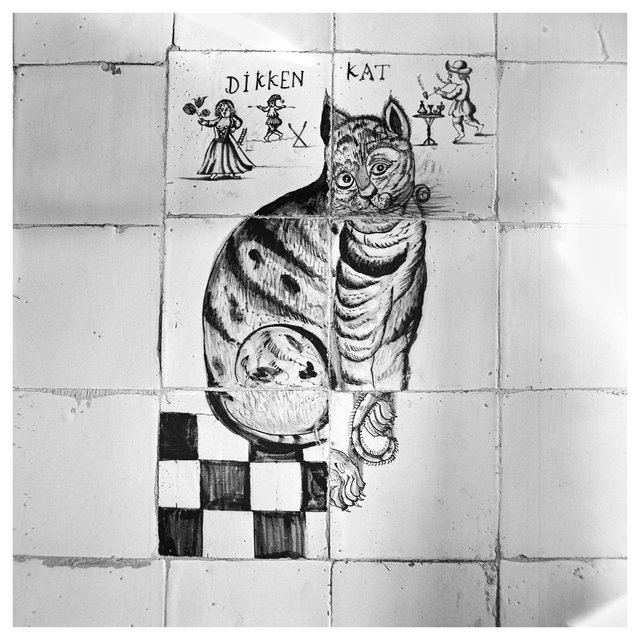 dikkenkat - 2006-04-03 at 11-44-49.jpg