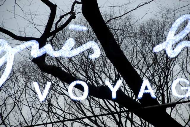 Ton van Bragt: Forest of Omotosando