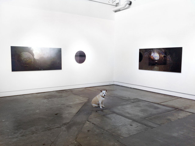 Nicole Welch 'Apparitions' installation