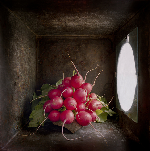 Radishes, c 2000