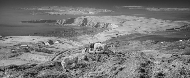 Connemara panoramic-1.jpg