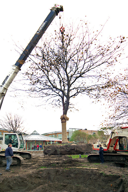 WOZOCO De Masemude, Monster