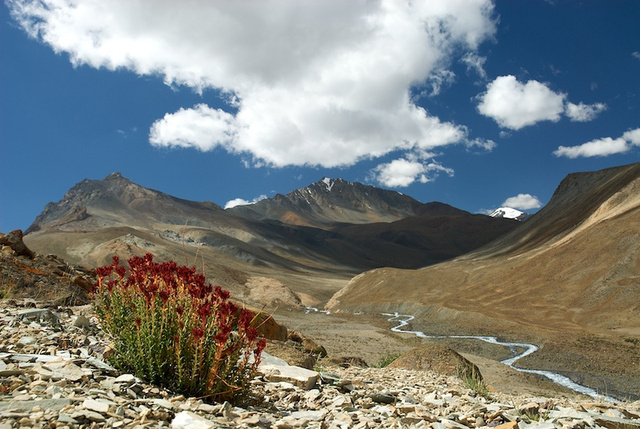 Ladakh_23.jpg